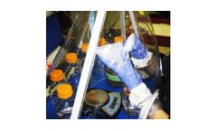 Bioremediation Studies Service