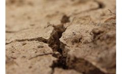 Effect of afforestation on soil fungal community structure is greater than spatial distance