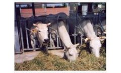 Agricultural Services