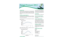 Model HUT - Fungal Protease Brochure