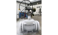 Perrin - Top Entry Ball Valve