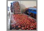 Pennwalt - Fruit and Vegetable Processing Plants