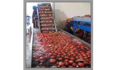 Pennwalt - Fruit and Vegetable Processing Plants