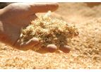 Biomass Heat & Transport