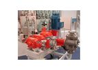 Special Execution Pumps