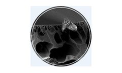 SEM / X-Ray Analysis Services