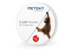 Metoxit Z-CAD - Model One4All - High-Performance Zirconia for Dental Restorations
