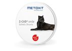 Metoxit Z-CAD - Model SMILE - Smile Esthetic Zirconia for Dental Restorations