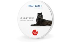 Metoxit Z-CAD - Model SMILE - Smile Esthetic Zirconia for Dental Restorations