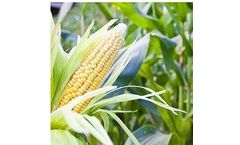 Viscosity Technology for Agricultural Chemistry