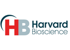 Scie-Plas - Model 10x - Towbin Buffer for Western Blotting