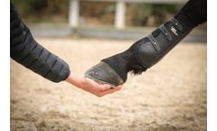 Lanz-Anliker - Equestrian Sports Equipment