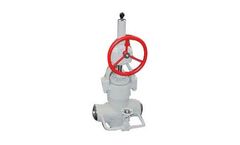 DEI - Pressure Seal Valves