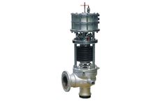 LDM - Model PV 1509 - Full Lift Safety Valve