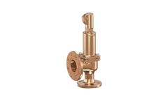 Goetze - Model 852bHL - Safety Valves