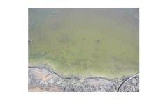 Genefloc - Model ABF - Combined Algaecide, Biocide and Flocculant