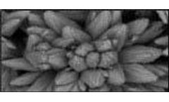 Genesys - Model SW - Seawater Antiscalant