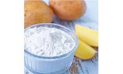 Process equipment and technology solutions for starch industry