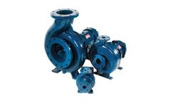 Griswold - Model 811 - ANSI Pumps