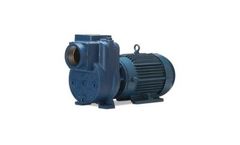 Griswold - Model H Series - Self-Priming Centrifugal Pumps