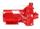 Patterson EnviroFlo - Model ES Series - Closed-Coupled End Suction HVAC Pumps