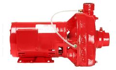 Patterson EnviroFlo - Model ES Series - Closed-Coupled End Suction HVAC Pumps