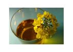 Biowork’s Biodiesel Production