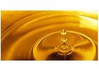 Biodiesel Supply