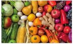 Nitrogen Generator for Agriculture