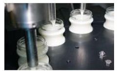 Nitrogen Generator for Food Industry