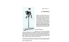 Stachybotrys Brochure