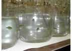 Chemical, and Agricultural Product Testing