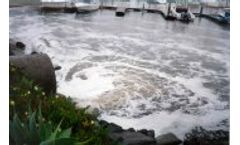 Ambient Water, Stormwater, & Whole Effluent Toxicity Service