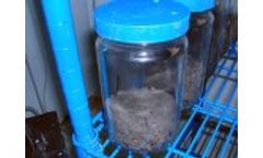 Soil Toxicity Testing Service