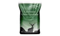 Caledonian - Model 40L - Green Goodness