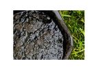 Biofertilisers Service