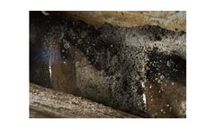 Water Services