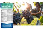 BioSafe PerCarb - Broad Spectrum Bactericide / Fungicide