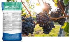 BioSafe PerCarb - Broad Spectrum Bactericide / Fungicide