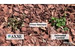 AXXE Broad Spectrum Herbicide - 4 hour time-lapse - Video