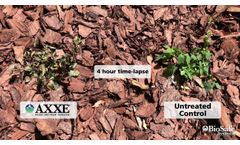 AXXE Broad Spectrum Herbicide - 4 hour time-lapse - Video