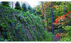 Presto GEOWEB - Naturally-Vegetated, Green Retaining Wall Systems