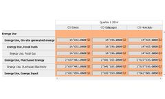Seram - Data Grid Software