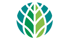 Sustainably managed forests can `save ten times the CO2`