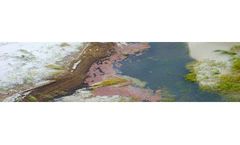 Post Spill Management Services