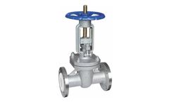 JITAI - Teflon Lined Gate Valves