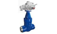 JITAI - Electric Pressure Seal Gate Valves
