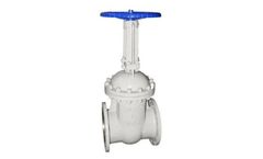 JITAI - Carbon Steel Wedge Gate Valves