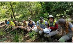 Wetland Delineation Training (Classroom/Field)