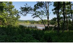 Basic Wetland Delineation & Wetland Skills Mastery Program Training Courses